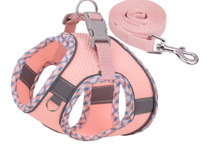 Petank Dog Harness for Small Medium Dogs No Pull, Puppy Harness and Leash Set, Step in Dog Harness for Walking, Running, Training, Small Dog Vest, Medium Dog Vest (Pink, M)