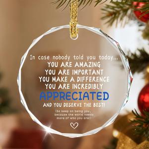 in Case Nobody Told You Today: You are Amazing, Important & Make a Difference - Appreciation Sign | Office Gift, Employee Gift, Appreciation Gifts,Thank You Gifts,Crystal Christmas Ornament