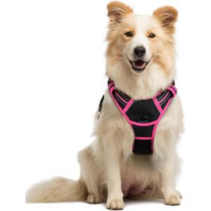 rabbitgoo Dog Harness No Pull with 2 Leash Clips, Adjustable Soft Padded, Reflective Oxford No Choke Pet Vest with Easy Control Handle for Large Dogs, Black & Hot Pink, M