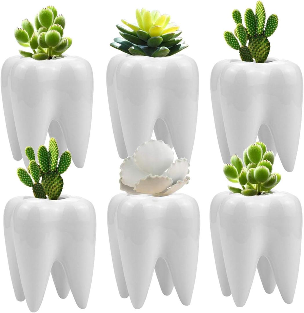 Hedume 6 Pack Tooth Shaped Planter Pots, Small Cute Flower Plant Containers, Mini Ceramic Succulent Planter Pots, Creative Pen Pencil Holder for Desk Decor