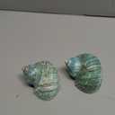 SINKOO Large Conch Shell 2PCS 4"-4.5" Natural Seashells for Hermit Crab Fish Tank Wedding Decor Beach Theme Party, Home Decorations,DIY Crafts