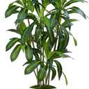 Dracaena Plant Artificial Tree 6Ft Tall Fake Tropical Floor Plants Potted (Real Touch) Artificial Silk Tree Leaf Faux Trees White Tall Planter for Home Office Living Room Indoor Outdoor Decor
