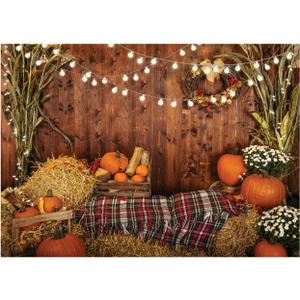 2 x WOLADA Fall Autumn Photo Backdrop for Photography Fall Backdrops for Photoshoot Wooden Board Haystack Pumpkin Background 7x5FT 12480