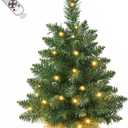 2FT Pre-lit Artificial Small Mini Christmas Tree with Warm White Multi-Color LED Lights, Remote Control and Timer, Perfect for Xmas Tabletop Decorations, Home, Kitchen, Dining Table top Green