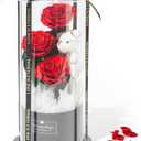 Flowers Forever Roses in A Box, 3 Real Roses with Stems and Bear, Eternal Rose Gifts for Her,Birthday Gifts for Women, Mom,Girlfriend,Grandma,Daughter,Red