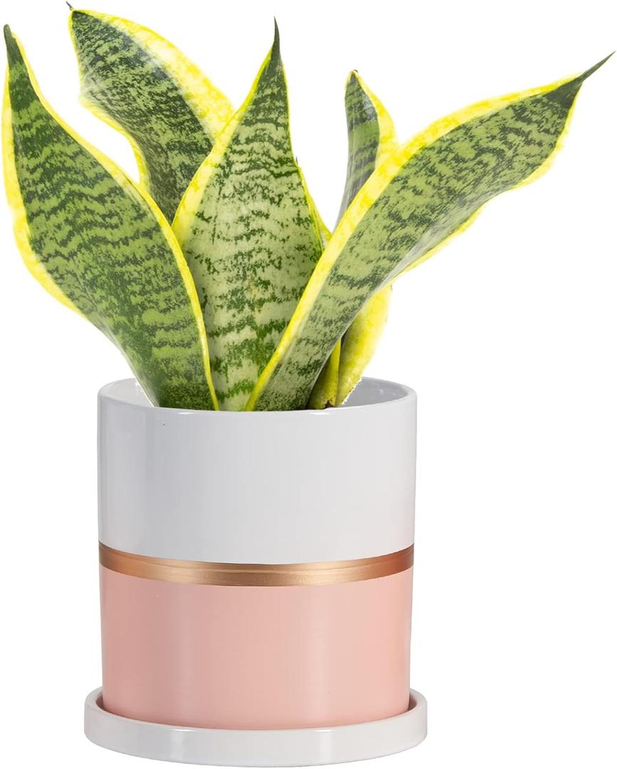 Ekirlin 6 inch Plant Pot - Ceramic Flower Planters Indoor - Modern Succulents Containers with Drain Hole Saucer, Decorate Home, Office & Outdoor (Pink)