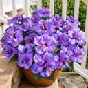 HyeFlora Artificial Hibiscus Flowers for Outdoors Faux Plant Spring Decor, 4 Bundles Fake Tropical Flowers UV Resistant Realistic Outdoor Silk Flower for Outside Planter Porch Patio Garden Window Home, Purple Hibiscus