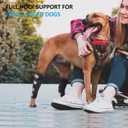 Dog Leg Brace for Back Leg, Canine Hock Brace for Rear Legs with Dual Metal Strips, Joint Warps Strong Support Help for Hind Leg Injuries Sprains Arthritis Torn ACL, M(1Pair)