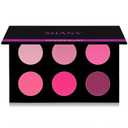 SHANY Shimmer & Matte Cool-Toned Blush Palette - Layer 5 - Refill for the 6 Layer Mini Masterpiece Collection Makeup Set (1 Count (Pack of 1)
