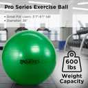 Theraband 23045 Exercise and Stability Ball