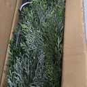 2.5FT Artificial Cedar Topiary Trees with Ground Spike, UV Resistant Topiary Trees Artificial Outdoor Plants, Artificial Plants Outdoor for Indoor, Front Porch, Garden, Set of 2