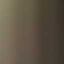 Lesure Collapsible Dog Crate - Portable Travel Kennel for Medium Dog, 4-Door Pet Crate with Mesh Windows, Indoor & Outdoor, Light Gray (30.0"L x 21.0"W x 21.0"H)