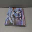 Fishing Advent Calendar 2025, 24 Day Fishing Lure Advent Calendar Fishing Tackle Set for Adult Men Teens Boy, Christmas Countdown Calendar Xmas Surprise Gift for Fisherman