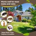 Mole Repellent for Lawns, Groundhog Repellent Outdoor, Armadillo Repellent, Mole Deterrent for Yard, Vole Repellent Outdoor, Gopher Repellent, Safe for Family & Pets, 8 Packs