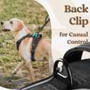 rabbitgoo Dog Harness for Large, No Pull Pet Harness with 3 Buckles, Adjustable Soft Padded Vest with Control Handle, Walking Reflective Pet Vest for Large Dogs, Black, L