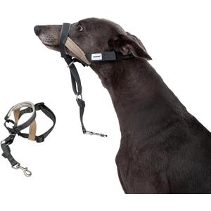 Dog Muzzle for Large Dogs, Soft Breathable Loop Muzzles Prevent Biting & Chewing, Allows Panting and Drinking, Adjustable Humane Muzzle for Pitbull Training (Blackish Green)