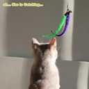 MeoHui Cat Toys for Indoor Cats, Interactive Cat Toy 2PCS Retractable Wand Toy and 9PCS Cat Feather Toys Refills, Funny Kitten Toys Cat Fishing Pole Toy for Bored Indoor Cats Chase and Exercise