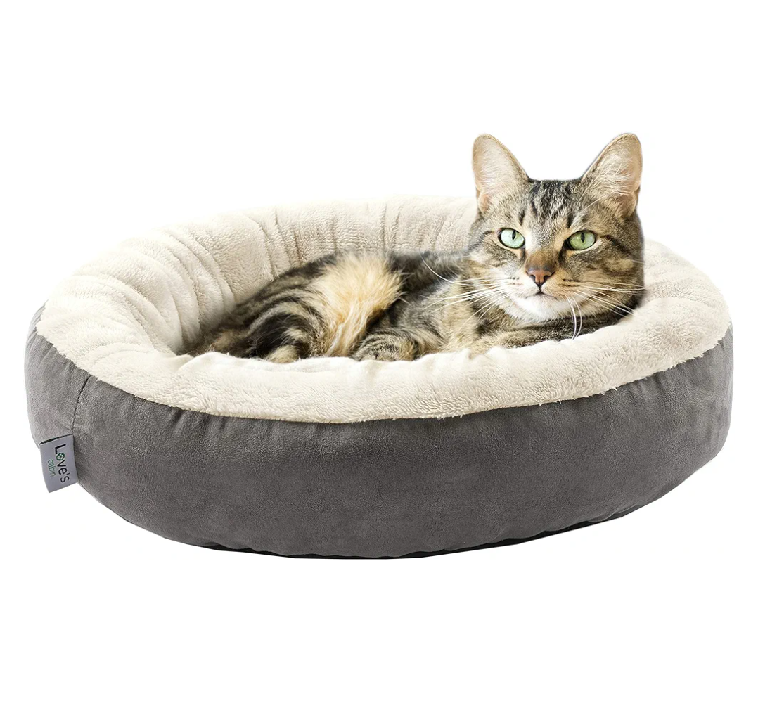 Love's cabin Round Donut Cat and Dog Cushion Bed, 20in Bed for Cats or Small Dogs, Anti-Slip & Water-Resistant Bottom, Super Soft Durable Fabric Pet Beds, Washable Luxury Cat & Dog Bed,
Dark Grey