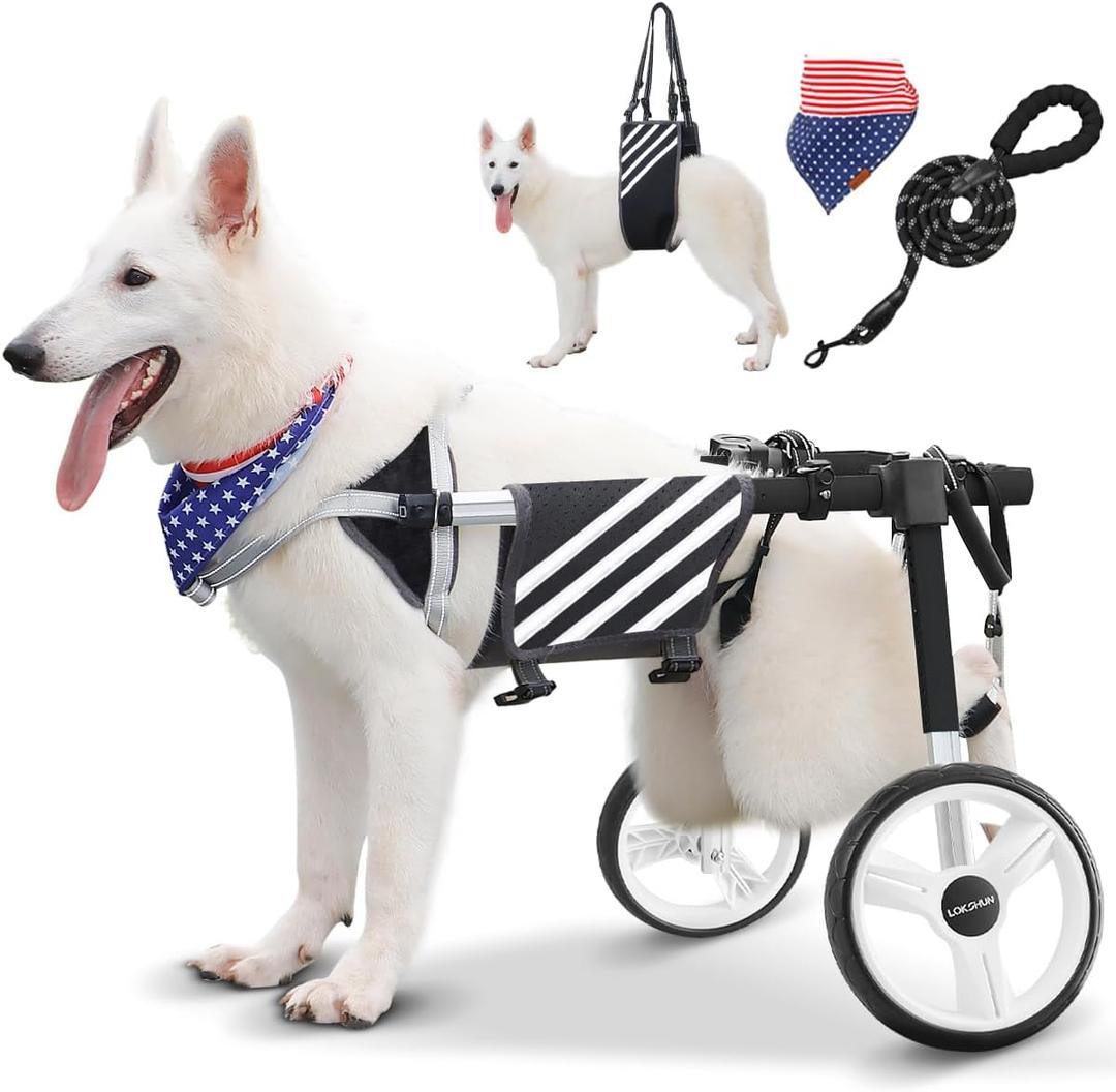 Large Dog Wheelchair for Back Legs with Multi-Function Pet Lift, Wheelchair for Dogs Thickened, Adjustable Back Leg Dog Wheel Chair, Dosg Carts with Wheels for Disabled Hind Legs (Black) XXL