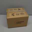 Frideko Bamboo Lantern Plug in Wall Sconces Wicker Wall Lamp with Plug in Cord Hand Woven Rattan Wall Light Farmhouse Rustic Wall Sconces Boho Sconces Wall Lighting for Living Room Bedroom (Orange)