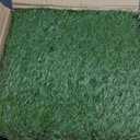 XLX TURF Artificial Grass Turf Interlocking Deck Tiles Set 18 PCS - 12"x12" Thick Synthetic Fake Grass Self-draining Mat Floor for Dog Kennel Indoor/Outdoor Use