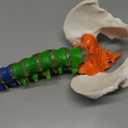 BEAMNOVA Flexible Anatomy Spine Model 85cm/33.46in Bendable with Holder Stand Colored Vertebrae Lumbar Spine Model with Nerves for Chiropractors Life Size Multicolored