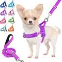 Lukovee No Pull Dog Harness and Leash Set, Soft Padded Small Dog Harness, Neck & Chest Adjustable Reflective Vest Puppy Harness with 4ft Lightweight Anti-Twist Dog Leash for Small Dogs (XS, Purple)