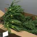 6ft Real Touch Norfolk Prelit Christmas Tree Decorations with 150 UL Listed Warm White led Lights, Lighted Slim Pencil Tree for Baby's First Christmas with 340 PE Tips, Metal Stand, Plug-in