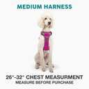 Embark Adventure Dog Harness, Reflective Trim No Pull Dog Harness Medium Sized Dogs - Military Grade Nylon, Front Clip with Gel Lined Handle.