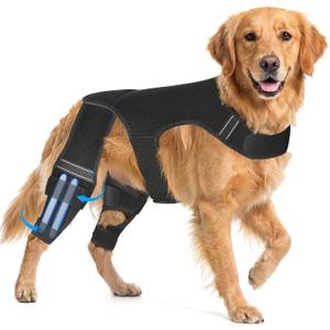 Dog Knee Brace for Hind Leg, Adjustable Dog Rear Leg Support Brace with 4 Metal Stabilizers, Helps with Torn CCL, Luxating Patella, Ligament Injuries (XL)