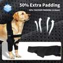 Dog Elbow Brace Protector with Decoupled Chest Strap - Breathable, Abrasion-Resistant - Adjustable Elbow Support for Hygroma, Dysplasia, Arthritis, Calluses & Shoulder Instabilit (Both Legs, XL)