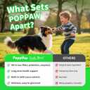 Dog Probiotics & Digestive Enzymes  Pumpkin Fiber Chews for Gut Health, Diarrhea & Upset Stomach Relief, Gas & Stool Support, Beef Flavor Soft Chews  90 Count