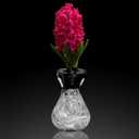 Three Hydroponic Hyacinth Glass Vases,Propagation Vases,Home Decoration Vase,DIY Interest Plant Cultivation Flower Bottles,Cottage Core Decor(Clear)