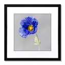 VNVNK 23x23 Frame Black, Perfect for 23x23 Inch Picture without Mat or 19x19 Inch Picture with Mat, Home Wall Decor Picture Frame-1 PCS