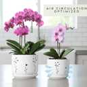 2 Pack, 5 + 6 Inch White Orchid Pots with Holes and Saucer, Ceramic Orchid Planters for Repotting with Drainage Holes and Tray, Plant Flower Pot containers for Orchid Indoor Outdoor