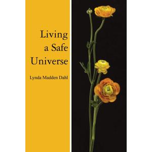 Living a Safe Universe: A Book for Seth Readers