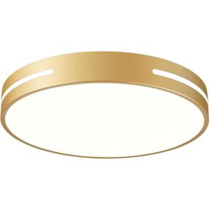 Dimmable LED Ceiling Light, 5CCT 2700K-6000K Modern Gold Flush Mount Ceiling Light, Minimalist Round Close to Ceiling Lighting Fixtures for Bedroom, Bathroom, Living Room, 15.74in