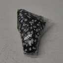 Amazon Essentials Women's Mid-Rise Slim-Fit 5 Inch Inseam Khaki Short (4, Black)