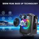Karaoke Machine for Adults with 2 Wireless Microphones, 800W Peak Speaker