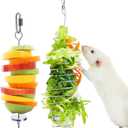 2Pcs Rat Enrichment Toys, 304 Stainless Steel Rat Foraging Toy for Fruit Vegetable Holder, Fancy Mice Cage Accessories Puzzle Toy, Hanging Rodent Toys Slow Feeder, Bird Foraging for Parakeet