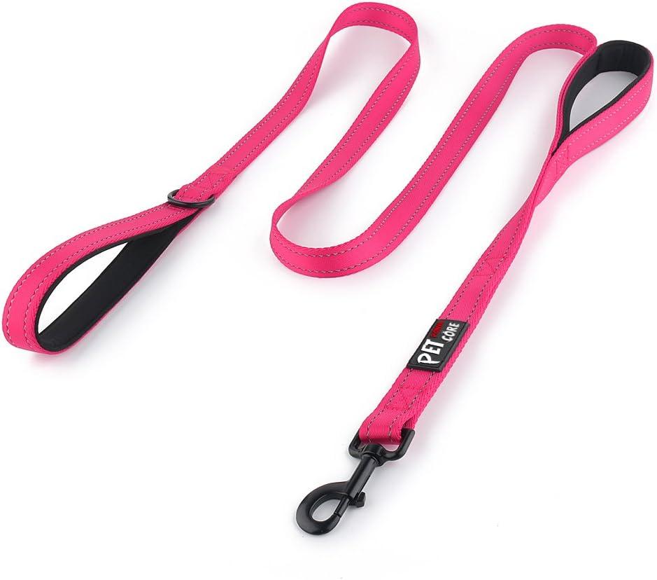 Plutus Pet Double Handle Dog Leash 4ft, Heavy Duty, Reflective Dual Handle Dog Leash for Safety Training, for Medium Large Dogs, 2 Handle Leads (Pink)