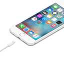 Apple Lightning to USB Cable (1 m)