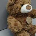 10Inch Teddy Bear Stuffed Animal, Soft Stuffed Teddy Bear Plush Toy, Birthday Xmas Gifts for Kids Baby (Dark Brown)