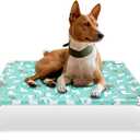 Elevated Dog Bed Pet cot - Pet Bed for Medium Dogs | Elevated Pet Bed for Indoor and Outdoor Use for Medium Pets