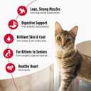 Nulo Freestyle Cat & Kitten Dry Food - Turkey & Duck Recipe, High Protein Grain Free Cat Food, Natural Kibble with Probiotics & Omega Fatty Acids, 4lb Bag (EXP 08/10/26)