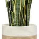 Dahey Jute Spliced Cotton Rope Plant Basket Modern Woven Storage Basket for 12" Floor Indoor Planter, Decorative Flower Pots Cover Laundry Bin with Handle Rustic Home Decor, White and Beige