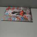 Tucocoo Pictures for Living Room Colorful Butterfly Paintings 1 Pieces Canvas Banksy Girl Street Graffiti Wall Art Modern Artwork Home Decor Giclee Framed Stretched Ready to Hang Gifts 12x16 inches