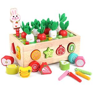 Toddlers Montessori Wooden Educational Toys for Baby Boys Girls Age 1 2 3 Year Old, Shape Sorting Toys 1st One First Birthday Girl Gifts for Kids 1-3, Wood Preschool Learning Fine Motor Skills Game little crack