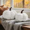 AELS Pumpkin Pillows, Set of 2, Halloween Pumpkin Pillow, Fall Thanksgiving Decorative Throw Pillow, 14 Inch 3D Pumpkin Throw Pillows for Home, Party, Gift, White