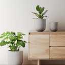 LE TAUCI 10 Inch Plant Pot, Ceramic Pots for Plants with Drainage Hole and Rubber Plug, Plant Pots Indoor for Home Garden Patio Office, Cylinder Flower Planter Pot, Neutral Gray